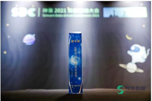 述信科技荣获'星斗奖'数据驱动行业创新企业奖，技术咨询驱动数字化转型