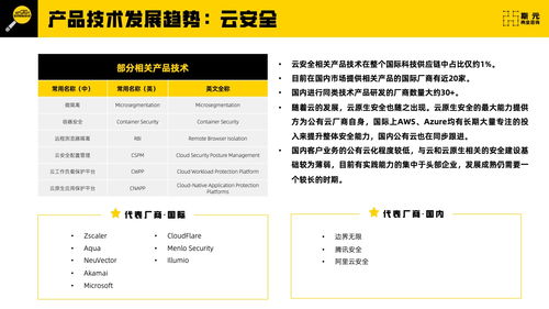 斯元商业咨询2023年网络安全科技供应链报告技术咨询