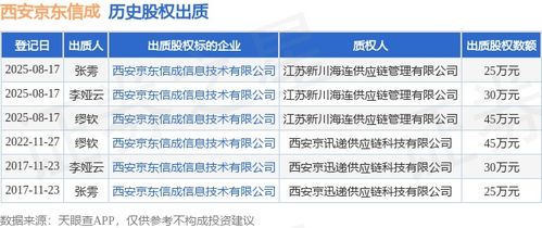 西安京东信成股权出质，涉及金额45万元，聚焦技术咨询服务